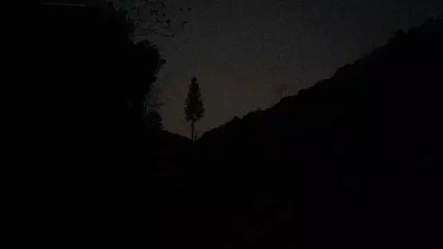 我们看到的
